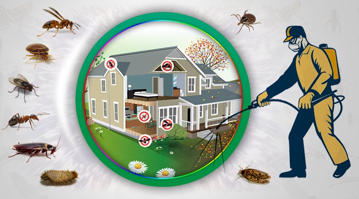 Sasalı Böcek İlaçlama