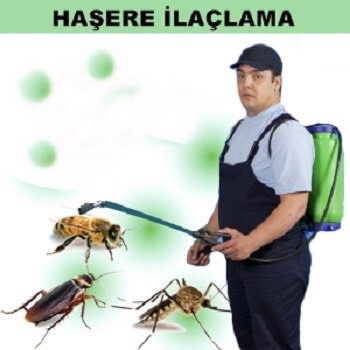 Sasalı Böcek İlaçlama